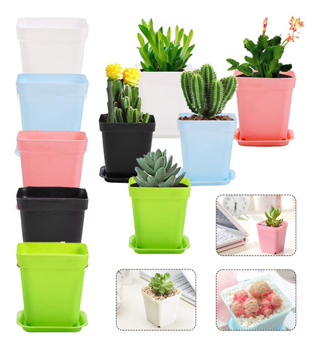 Set Maceteros Cactus Suculentas 7x5x8(cm) 100unidades,paleta