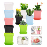 Set Maceteros Cactus Suculentas 7x5x8(cm) 100unidades,paleta