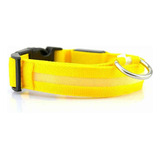 Collar Con Luz Led Luminoso Mascotas, Alumbra En Oscuridad 