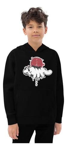 Sudadera Avatar Aang Appa Sol Naciente. Maestro Aire. Anime
