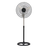 Ventilador Protalia Hogar De Pie V-20p Con Aspas Metalicas