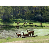 Terreno En Potrerillo Aldea De Montaña - Barrio Cerrado Con Seg 24 - Potrero De Garay!