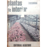 Plantas De Interior Tiscornia  Albatros Usado #