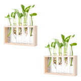 Green Container H4plant Propagation Stations, Plant Terrariu