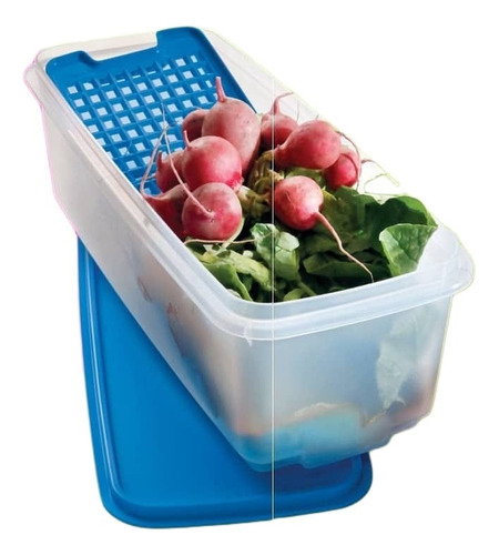 Fresqueita 4,5lt Tupperware® 0% Bpa Tupper® Para Verduras