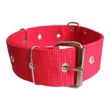 Coleira Nylon Dupla Grande Porte Cachorros Pitbull Fita 5 Cm