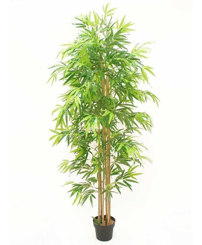 Arbol De Bambú Artificial Premiu M 1.80 Mts C/maceta 