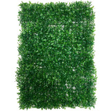 7 Placa De Buchinho Eucalipto Amendoim 40x60 Muro Verde