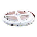 Cinta Luces Led 2835 Blanco Frio 6000k Tira 5m 60w 12v Ip33