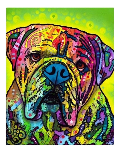 Diy Diamond Painting 5d Kit Pintura Chile Bulldog Colores