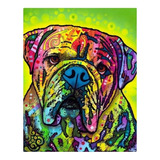 Diy Diamond Painting 5d Kit Pintura Chile Bulldog Colores