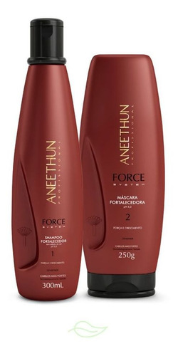 Kit Aneethun Force System Shampoo E Máscara 