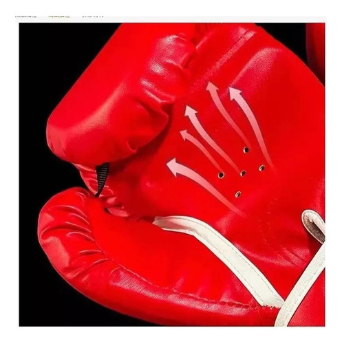 Luvas De Boxe Everlast De 12 Onças Para Treinamento