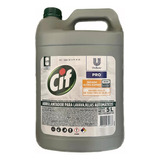 Abrillantador Para Lavavajillas Automático Cif Bidon 5lts