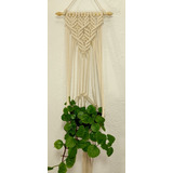 Macrame Suporte De Parede Para Plantas