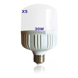 Lámpara Galponera  Led Alto Poder 30w  Werke - Pack X 5 Un.