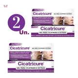 Cicatricure Gel Para Cicatrizes E Estrias 60g 2 Unidades