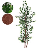 Árvore Artificial Fícus Verde Planta Grande Sem Vaso Decor