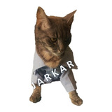 Camisa Formal Para Gato