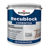 Recublock Cimientos Bloqueador De Humedad 12kg