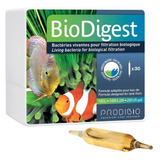 Prodibio Biodigest Cepa De Bacterias Duce Marino 30 Ampollas