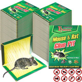 Pack 10 Trampas De Pegamento Para Rata O Raton