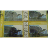 Tarjeta Telefonica Colecc F.77 Dinosaurios Giganotosaurus N