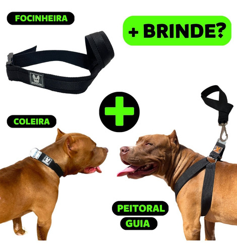 O Melhor Kit Cão Coleira Peitoral Guia Focinheira + Presente