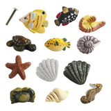 Creation Core Marine Series Rsin - Pomos Decorativos Para Ca