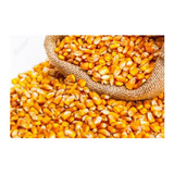 Bulto Maiz Entero Amarillo 50 K - Kg a $2966