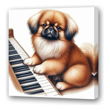 Cuadro 45x45cm Perro Pequines Tocando El Piano Dibujo M2