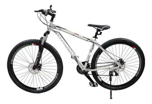 Mountain Bike Lamborghini 217135 R29 M Frenos De Disco Mecánico Cambios Tolan Y Shimano Tz31 Color Gris Con Pie De Apoyo  