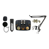 Kit De Grabación Venetian N2 Microfono Ktv Condenser Efectos