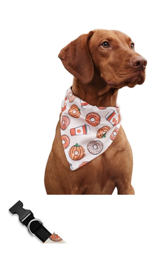 Set Collar + Bandana Para Mascotas, Perros 2x1