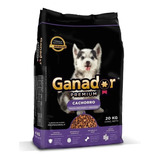 Alimento Ganador Premium Para Perro Cachorro De Raza  Mediana Y Grande Sabor Mix En Bolsa De 20kg