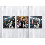 Cuadros Messi Argentina Campeón Mundial X 3 Unidades