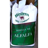 Semilla De Alfalfa San Miguelito Peletizada 1 Saco De 20 Kg 