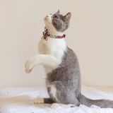 Chede Breakaway - Collar De Gato Con Campanas, Paquete De 2/