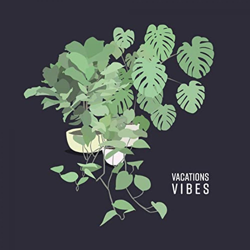 Audio Cd: Vibes (vacations)