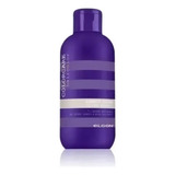  Elgon Colorcare Silver Shampoo Ph6 Neutraliza Reflejos 300ml