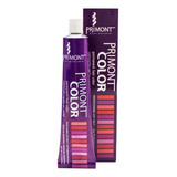 Pack Coloración 12 Tinturas Primont Profesional 120g 