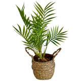 Planta Artificial Palmera Areca Con Maceta Fibras Naturales