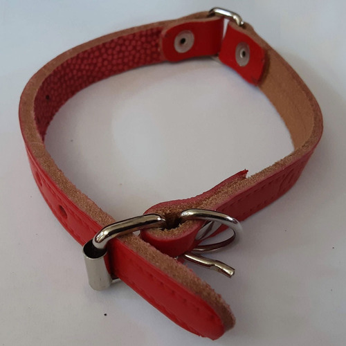 Collar Cuero Con Hebilla Ancho 20mm(3/4), Largo 43cms Tm