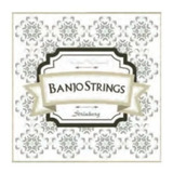 Encordoamento Strinberg Banjo Bj5  Americano 5 Cordas- Oferta!