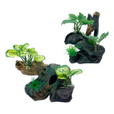 Plantas De Terrario De Reptiles, Ramas De Gecko, Rbol De Bos