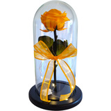 Rosa Preservada Cabeza Premium + Luz Led + Envio Gratis