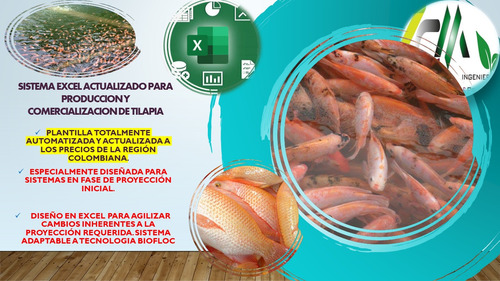 Sistema Excel Análisis Financiero Producción Tilapia