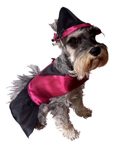 Disfraz Bruja Perro Halloween Talla 3 Mascota Pet Pals