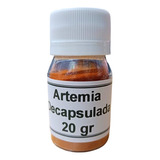 Artemia Descapsulada 20gr Fraccionada Acuario Peces