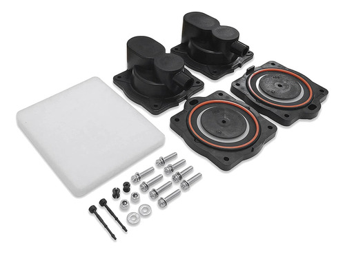 Kit Completo De Reconstrucción De 2 Bombas De Aire Hp60/80 P